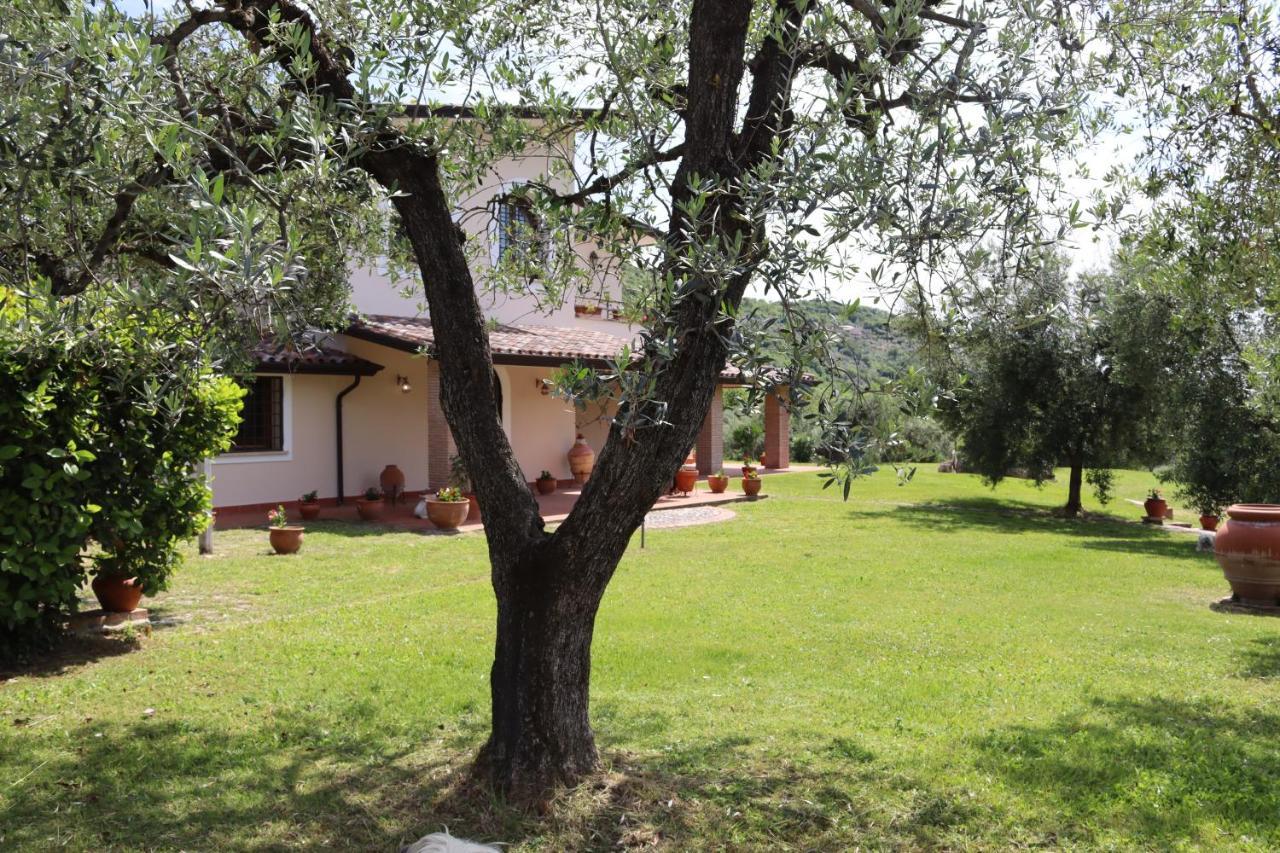 Agriturismo Il Bagolaro Nerola Экстерьер фото