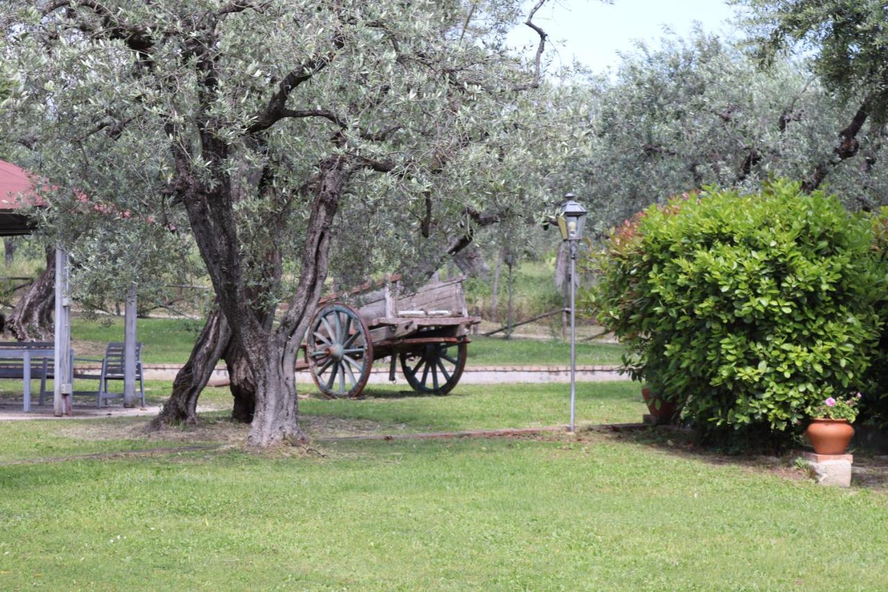 Agriturismo Il Bagolaro Nerola Экстерьер фото